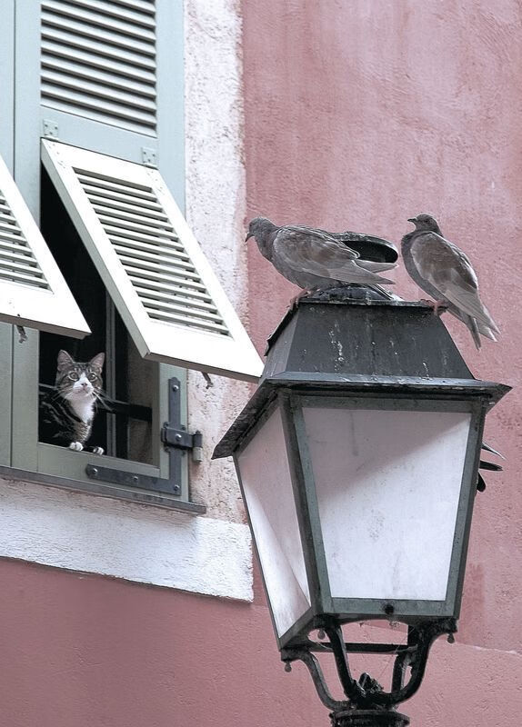 意甲VAR系统语义分析模型提升判罚效率,意甲var使用规则